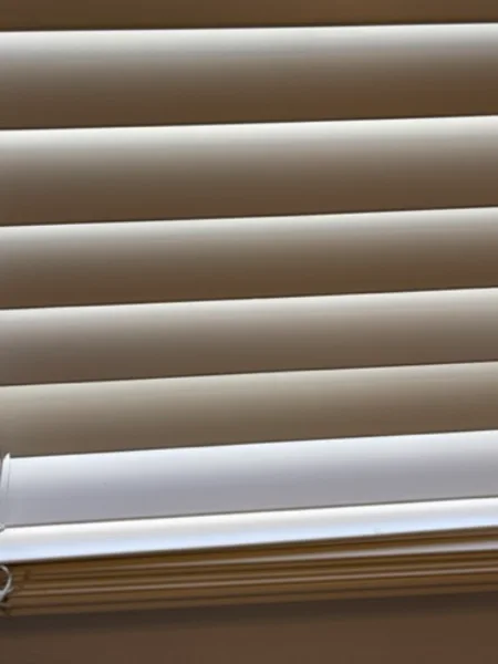 Trusted house cleaning service